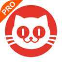 猫眼专业版app官方下载