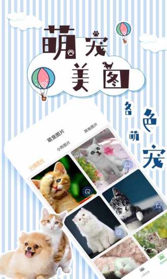 人猫翻译交流器最新版本免费版本